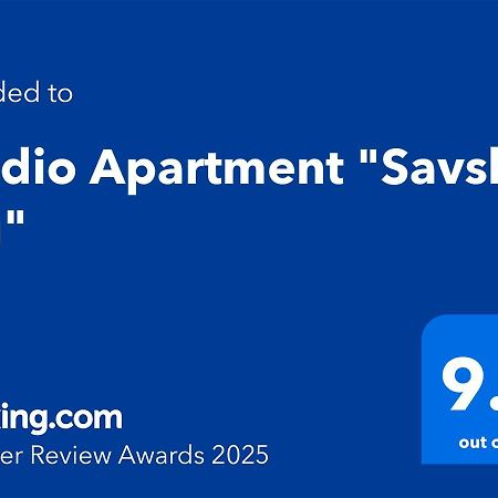 Studio Apartment "Savski Trg" Belgrad Zewnętrze zdjęcie